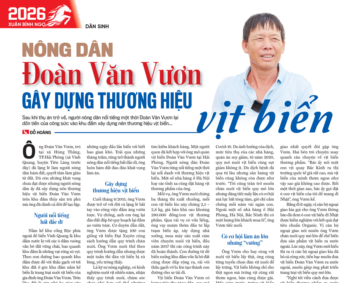 Nông dân Đoàn Văn Vươn gây dựng thương hiệu vịt biển - Ảnh 6