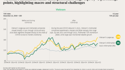 Bridging the gap: Energizing midmarket companies to large-cap performance