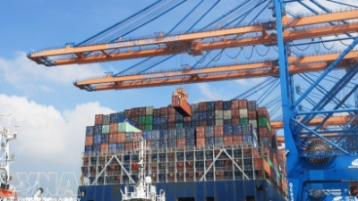 Seagoing vessel calls through Vietnam’s seaport system up 32% in 2025