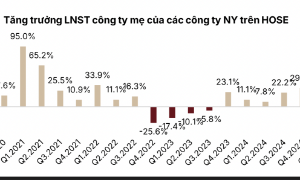 Toàn cảnh bức tranh lợi nhuận quý 4/2025: Tăng 49%, ngân hàng và bất động sản dẫn dắt