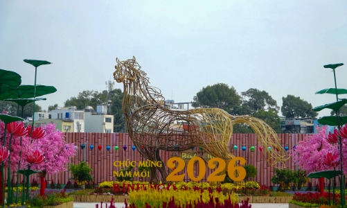 Công viên hoa xuân 152 Trần Phú: Thêm điểm check-in cho người dân TP.HCM trong dịp đầu năm mới