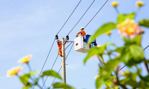 Bảo đảm dòng điện thông suốt dịp Tết Bính Ngọ 2026