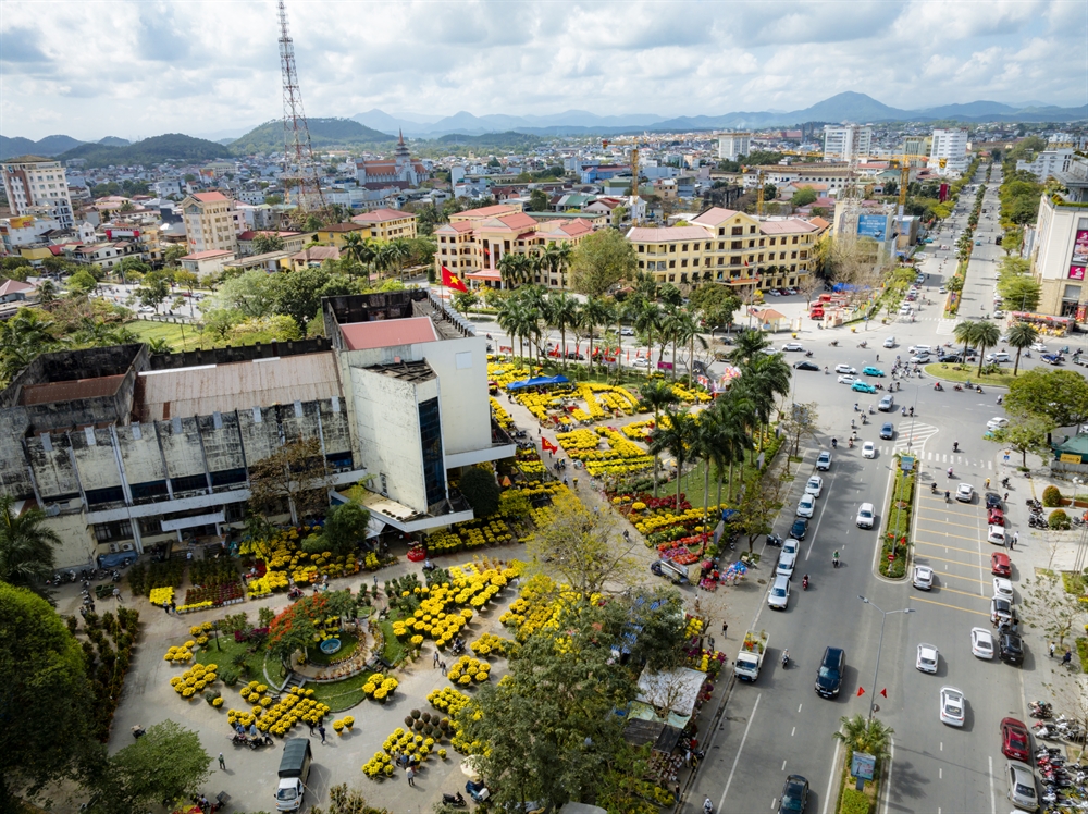 Một góc chợ hoa Xuân rực rỡ sắc màu trong nắng nhẹ cuối năm.