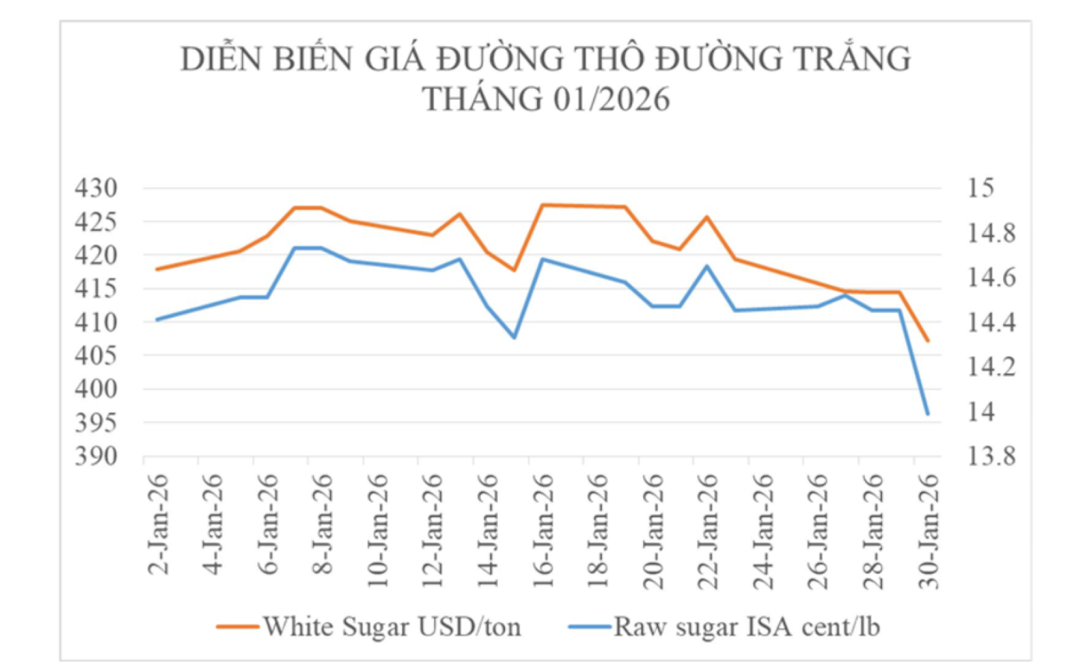 Diễn biến giá đường thế giới trong tháng 1/2026. Nguồn: Hiệp hội Mía đường Việt Nam.
