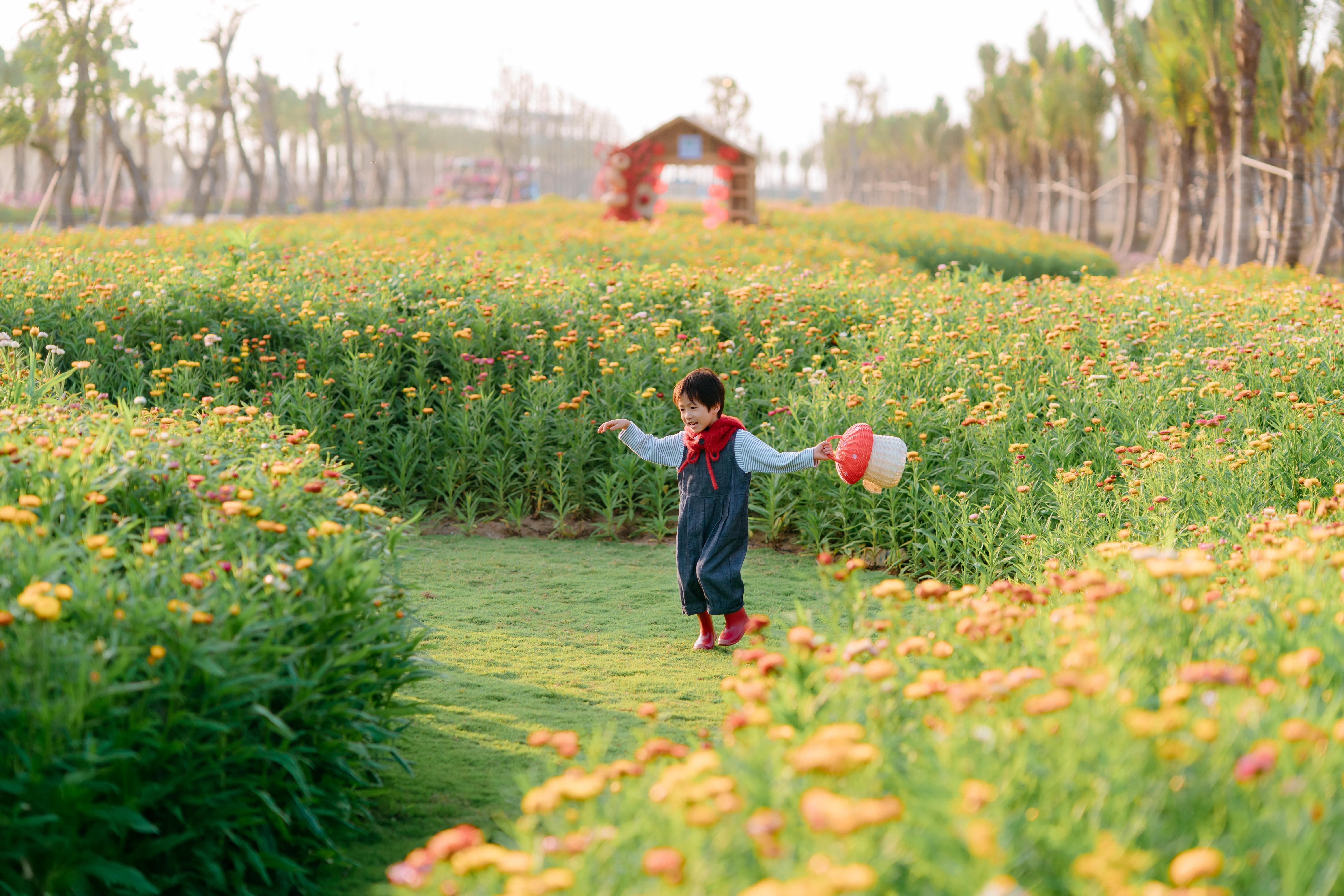 Ecopark tràn ngập sắc hoa tại các đại đô thị khắp 3 miền dịp Tết Bính Ngọ 2026 - Ảnh 1