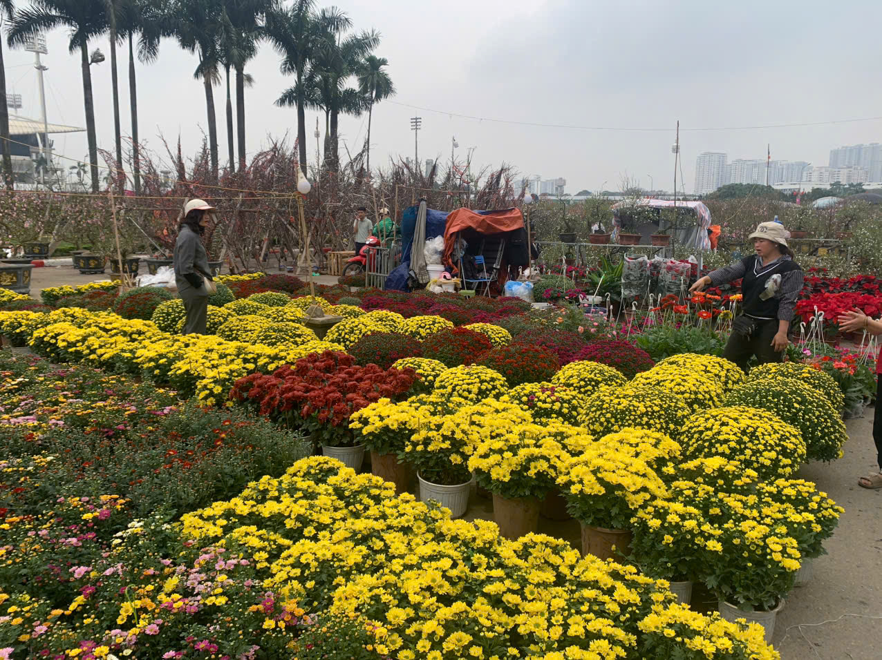 Hoa nhiều, khách ít là tình cảnh chung khiến không ít những người bán cảm thấy sốt ruột. 