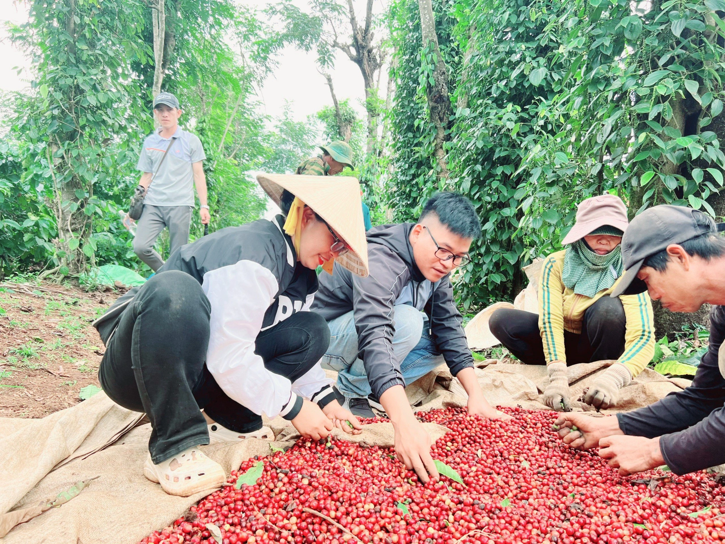 Thực tế, việc thay đổi thói quen và tư duy của bà con không hề dễ. Người dân trong buôn làng vốn rất dè dặt với cái mới; để họ chấp nhận và làm theo có khi phải mất 4-5 năm, thậm chí lâu hơn.