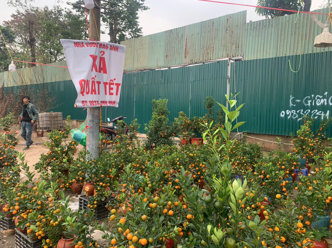 Cũng trong tình trạng 