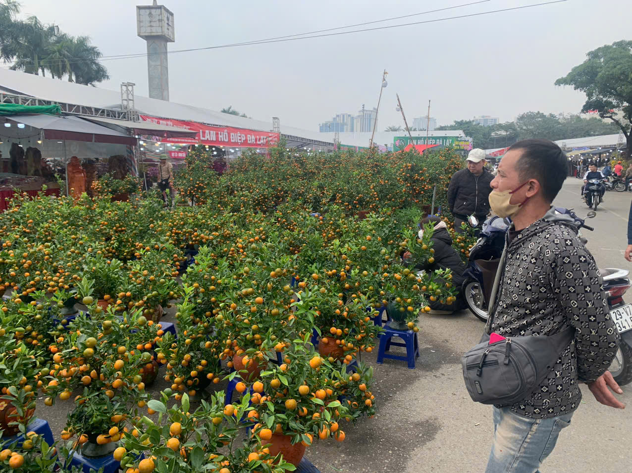 27 Tết, số lượng cây quất cảnh vẫn còn tương đối nhiều khiến người bán hàng này lo lắng. 