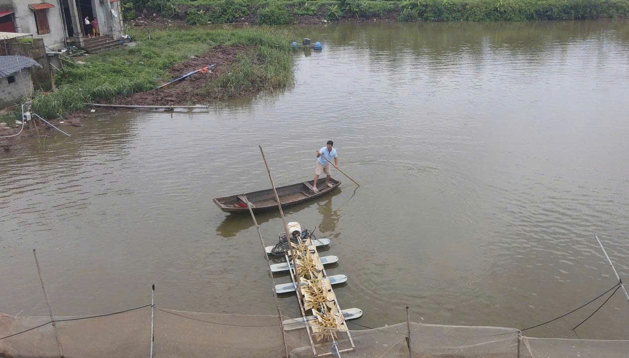 Nông dân Đoàn Văn Vươn gây dựng thương hiệu vịt biển - Ảnh 3