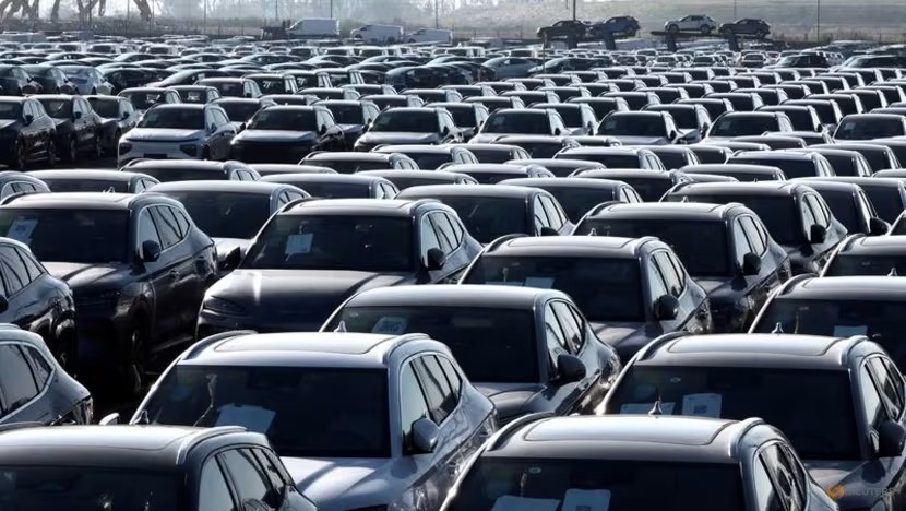 Các xe điện mới sản xuất tại Trung Quốc của BYD được nhìn thấy tại cảng Zeebrugge, Bỉ. Ảnh: REUTERS/Yves Herman/File Photo