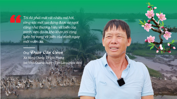 Nông dân Đoàn Văn Vươn gây dựng thương hiệu vịt biển