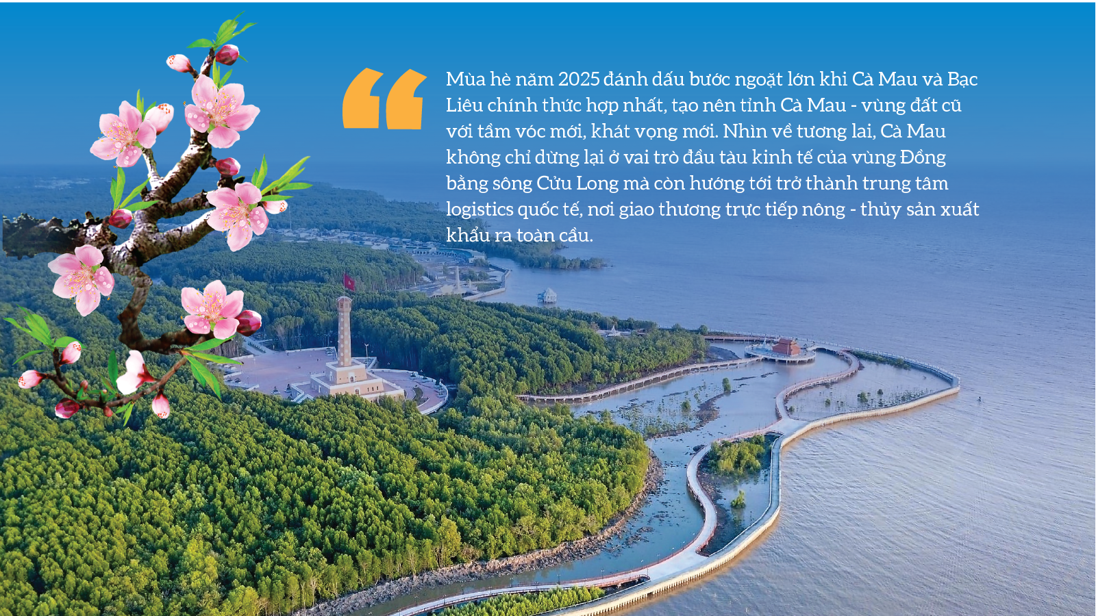 Cà Mau: Mũi tàu mang khát vọng vươn khơi - Ảnh 1