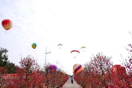 Lễ hội khinh khí cầu và dù lượn lần đầu xuất hiện trong khuôn khổ lễ hội xuân.&nbsp;Ảnh:&nbsp;Vinhomes Green Paradise.