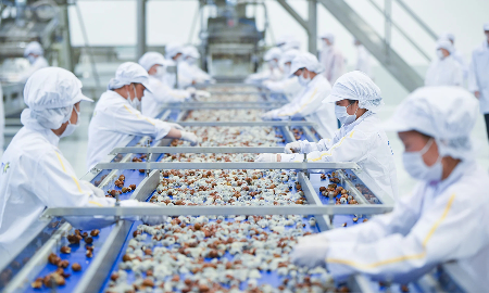 Xuất khẩu nông lâm thuỷ sản lập kỷ lục hơn 70 tỷ USD.