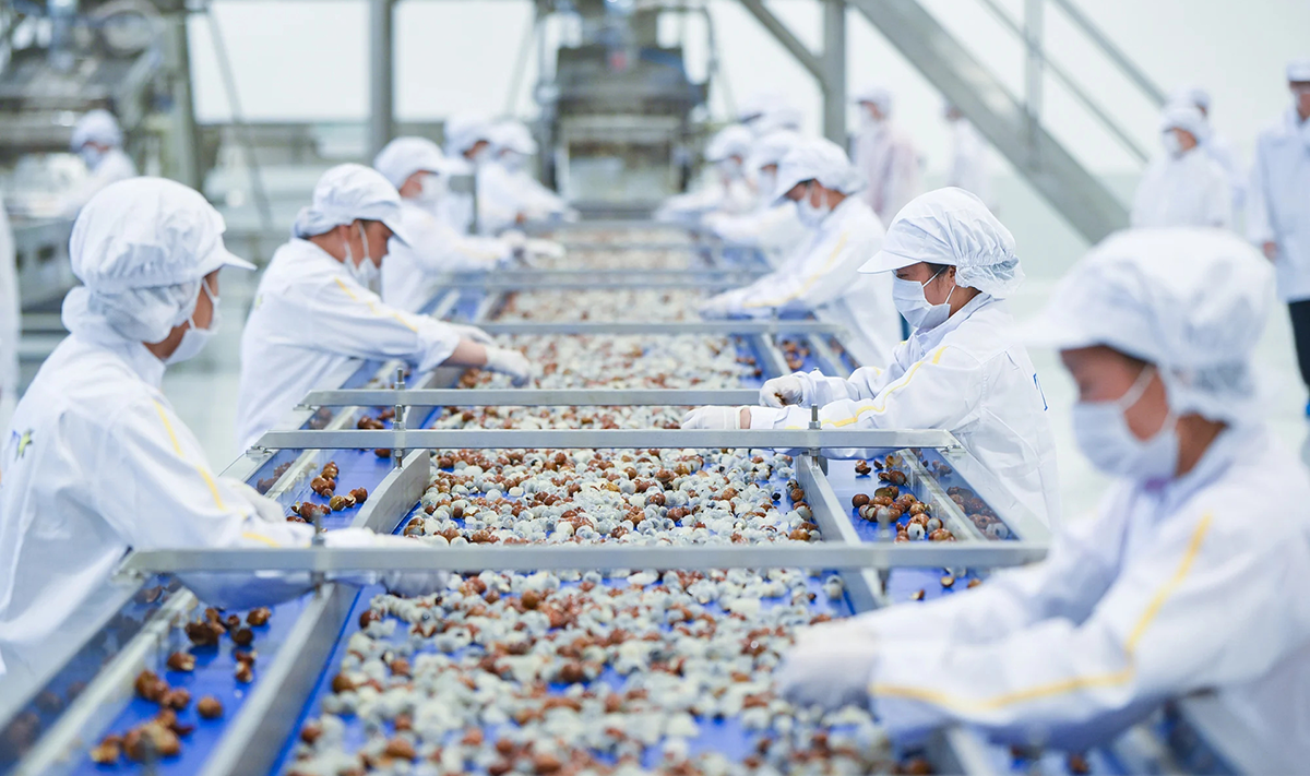 Xuất khẩu nông lâm thuỷ sản lập kỷ lục hơn 70 tỷ USD.