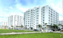 Nhà ở xã hội trở thành điểm sáng của thị trường bất động sản