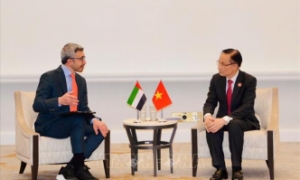 Bộ trưởng Ngoại giao Lê Hoài Trung gặp Bộ trưởng Ngoại giao UAE, Ai Cập và Thổ Nhĩ Kỳ