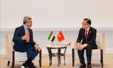 Bộ trưởng Ngoại giao Lê Hoài Trung gặp Bộ trưởng Ngoại giao UAE, Ai Cập và Thổ Nhĩ Kỳ