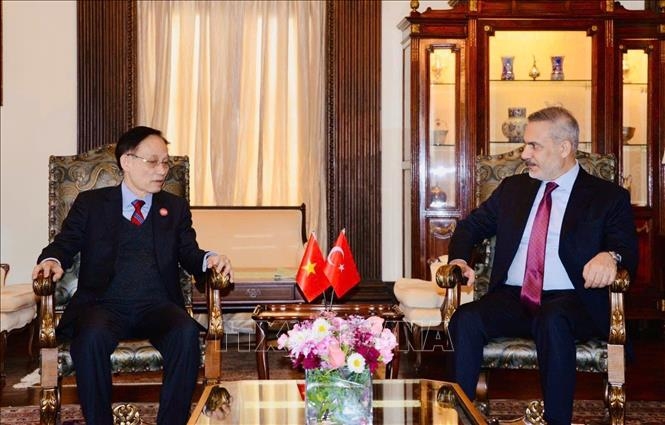 Bộ trưởng Ngoại giao Lê Hoài Trung gặp Bộ trưởng Ngoại giao Thổ Nhĩ Kỳ Hakan Fidan. Ảnh: TTXVN&nbsp;