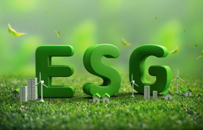 Vietnamese businesses uphold responsibility for ESG