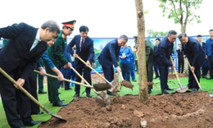 Tết trồng cây: Gắn phong trào truyền thống với định hướng phát triển đô thị xanh