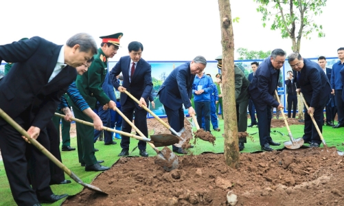 Tết trồng cây : Gắn phong trào truyền thống với định hướng phát triển đô thị xanh