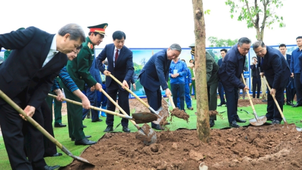 Tết trồng cây : Gắn phong trào truyền thống với định hướng phát triển đô thị xanh