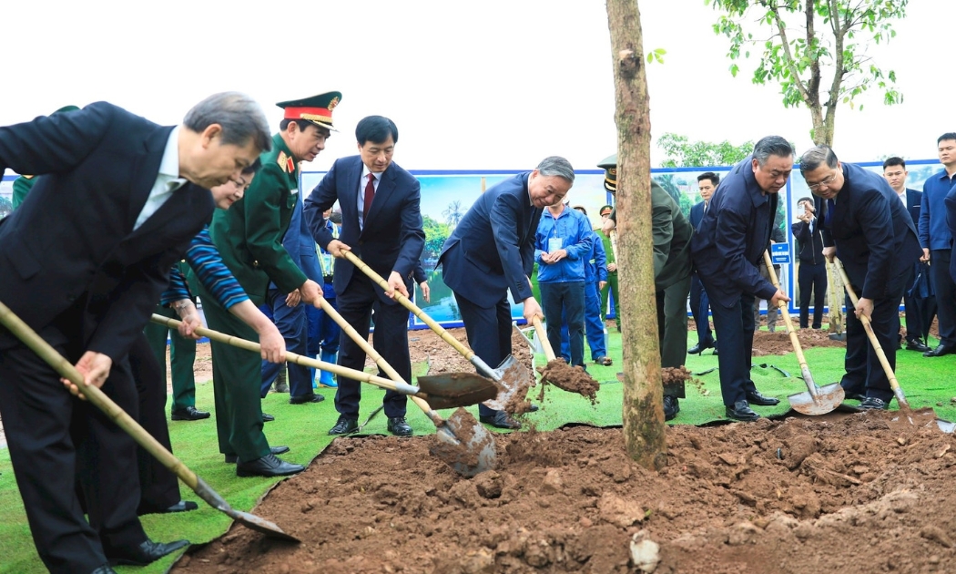 Tết trồng cây : Gắn phong trào truyền thống với định hướng phát triển đô thị xanh