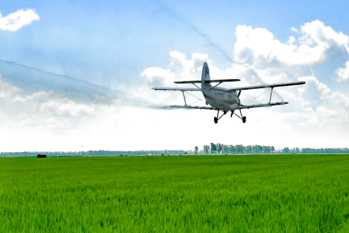 Máy
bay không người lái trên đồng ruộng thực hiện đồng bộ phòng bệnh, bón phân và
kiểm soát sâu bệnh, nâng cao hiệu quả canh tác. Nguồn ảnh: Tân Hoa Xã.