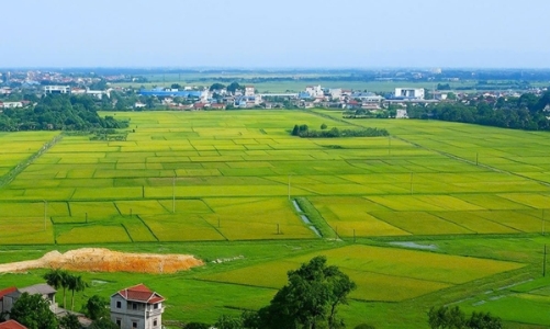 Chính phủ yêu cầu hoàn thiện dữ liệu đất đai theo các mốc trong 2026