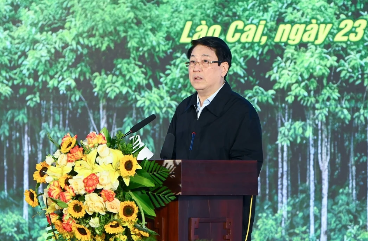 Chủ tịch nước Lương Cường: "Trồng cây, gây rừng là khoản đầu tư chiến lược mang lại hiệu quả lâu dài".