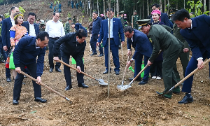 Trồng cây gây rừng, mỗi người trở thành một “đại sứ xanh”