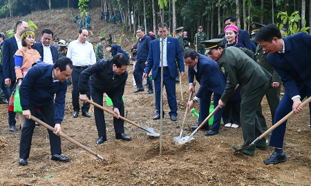 Trồng cây gây rừng, mỗi người trở thành một “đại sứ xanh”