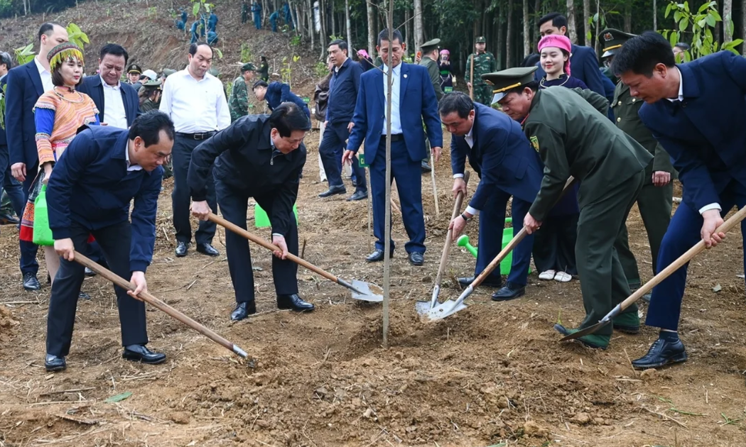 Chủ tịch nước và các lãnh đạo Đảng, Nhà nước trồng cây tại Lào Cai.