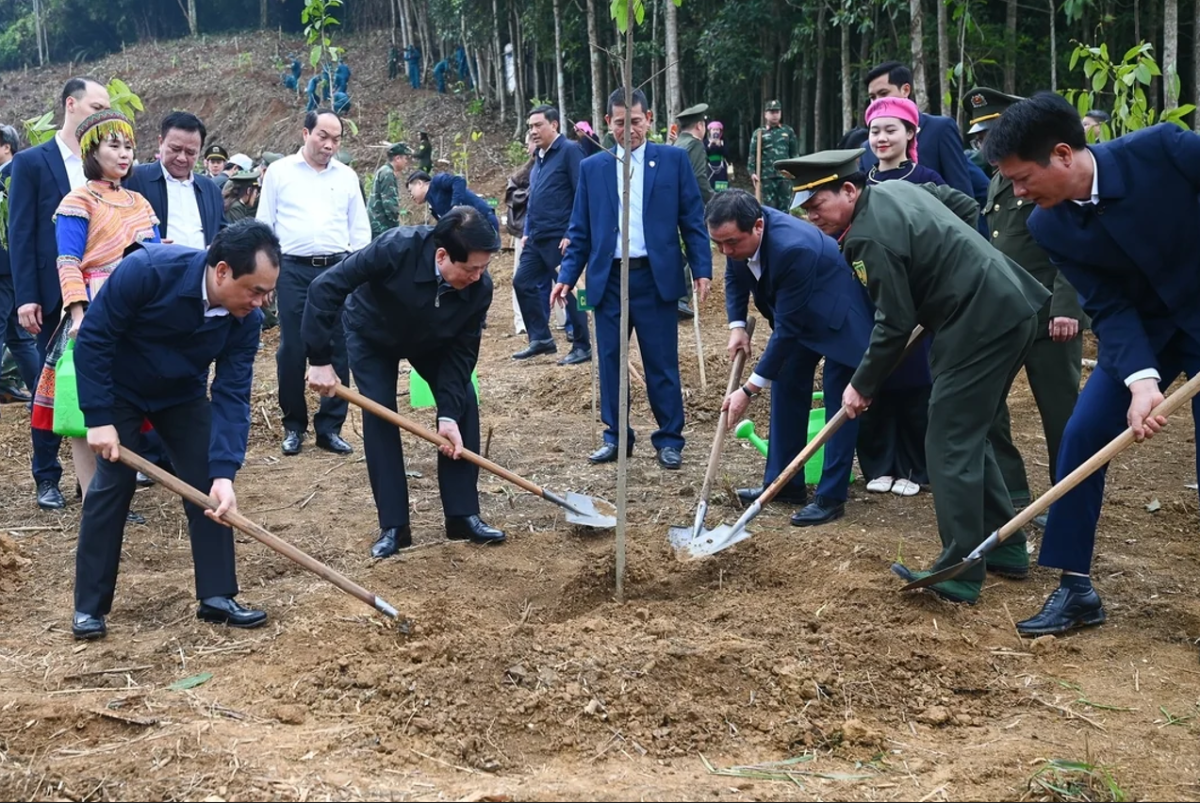 Chủ tịch nước và các lãnh đạo Đảng, Nhà nước trồng cây tại Lào Cai.