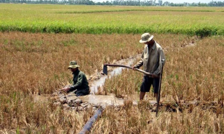 Triển khai các biện pháp phòng, chống hạn hán, xâm nhập mặn, không gây thiệt hại đến sản xuất nông nghiệp và ảnh hưởng đến nguồn nước sinh hoạt của người dân. Ảnh minh họa
