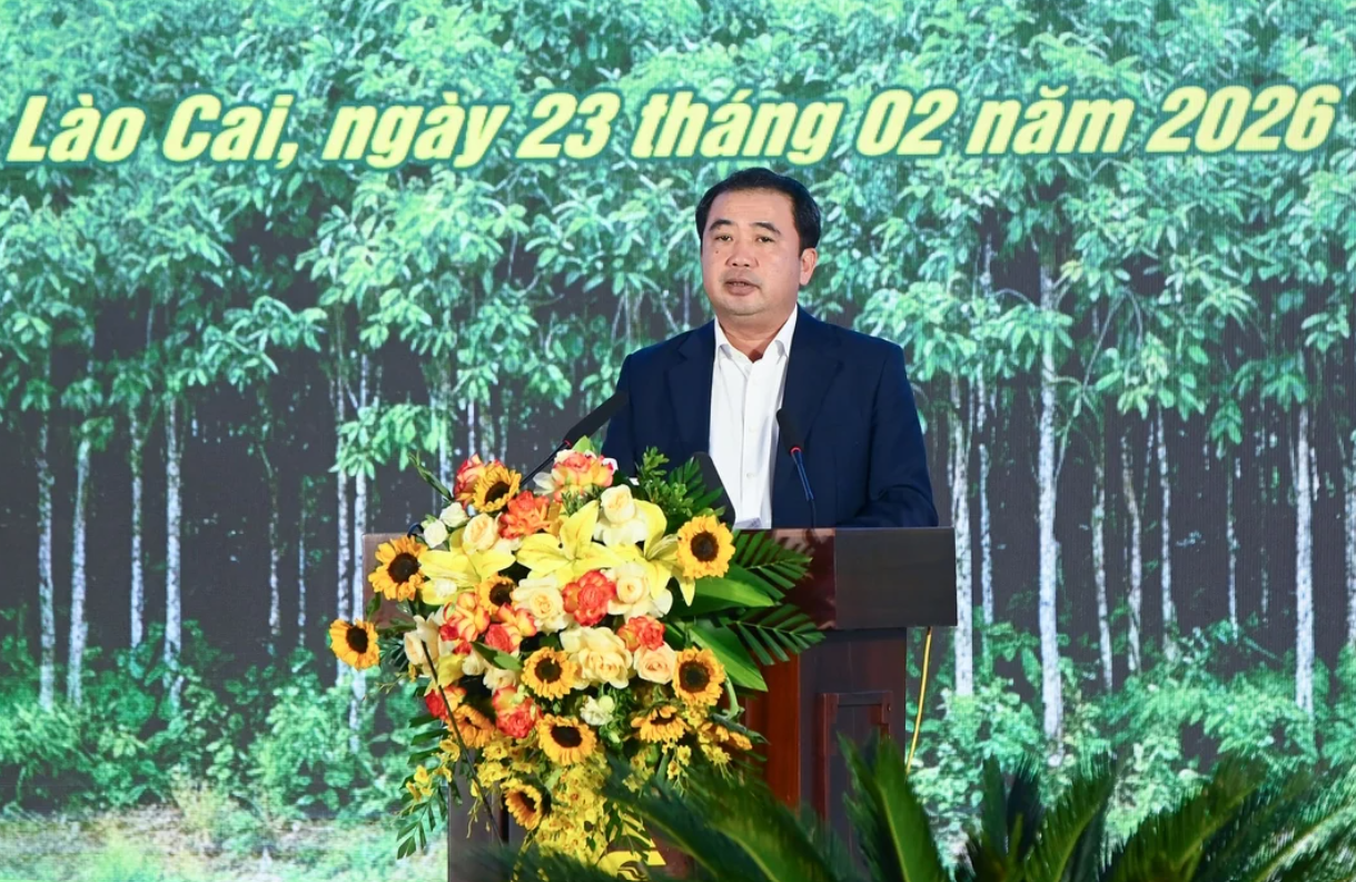Bộ trưởng Trần Đức Thắng: "Năm 2026, mục tiêu trồng rừng tập trung khoảng 260.000 ha và 100 triệu cây phân tán".