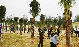 Quảng Trị đặt mục tiêu trồng 22.800 ha rừng và 3,5 triệu cây xanh trong năm 2026