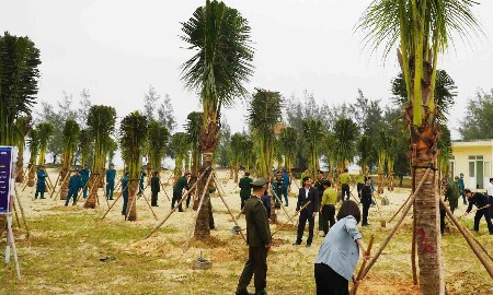Quảng Trị đặt mục tiêu trồng 22.800 ha rừng và 3,5 triệu cây xanh trong năm 2026