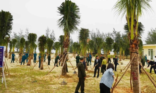 Quảng Trị đặt mục tiêu trồng 22.800 ha rừng và 3,5 triệu cây xanh trong năm 2026