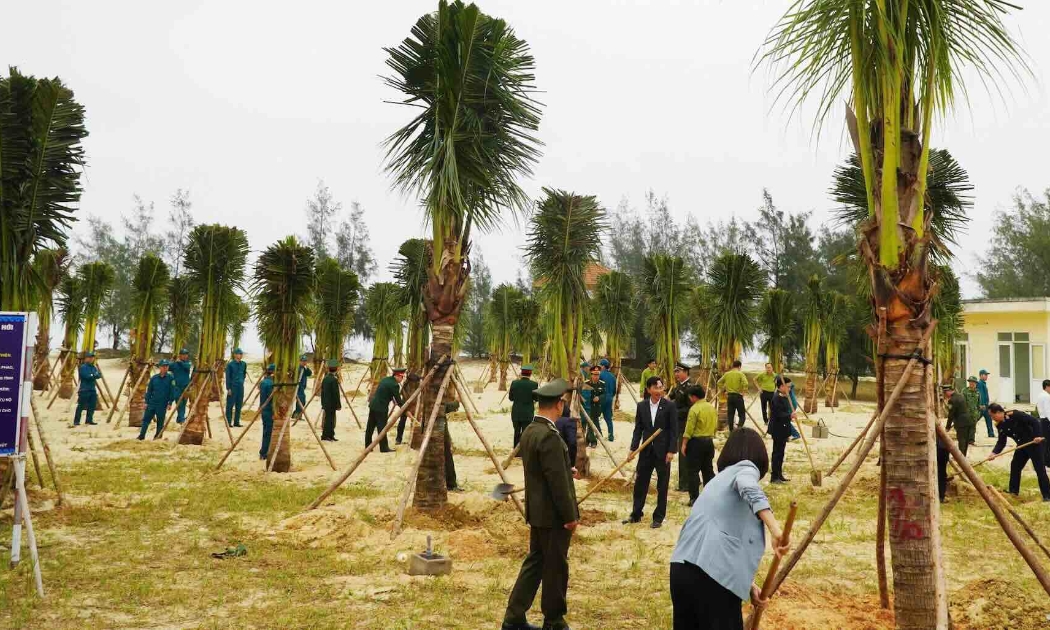 Quảng Trị đặt mục tiêu trồng 22.800 ha rừng và 3,5 triệu cây xanh trong năm 2026