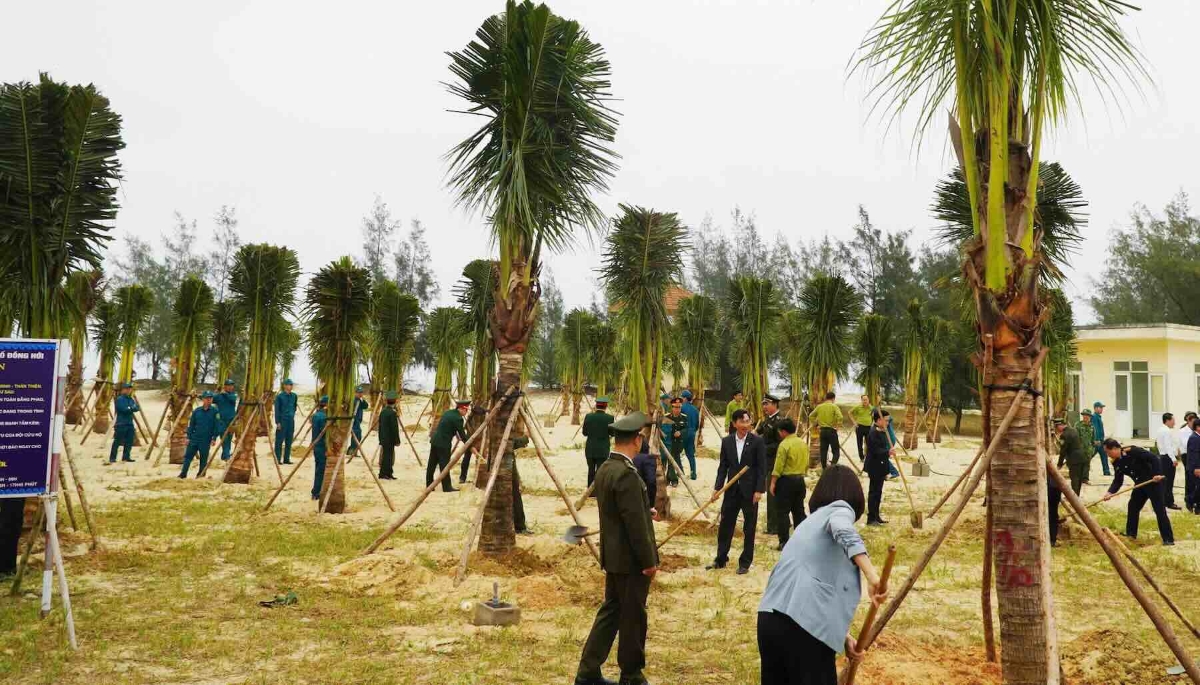 Quảng Trị phấn đấu trồng 3,5 triệu cây xanh trong năm 2026. Ảnh: Hải Đường