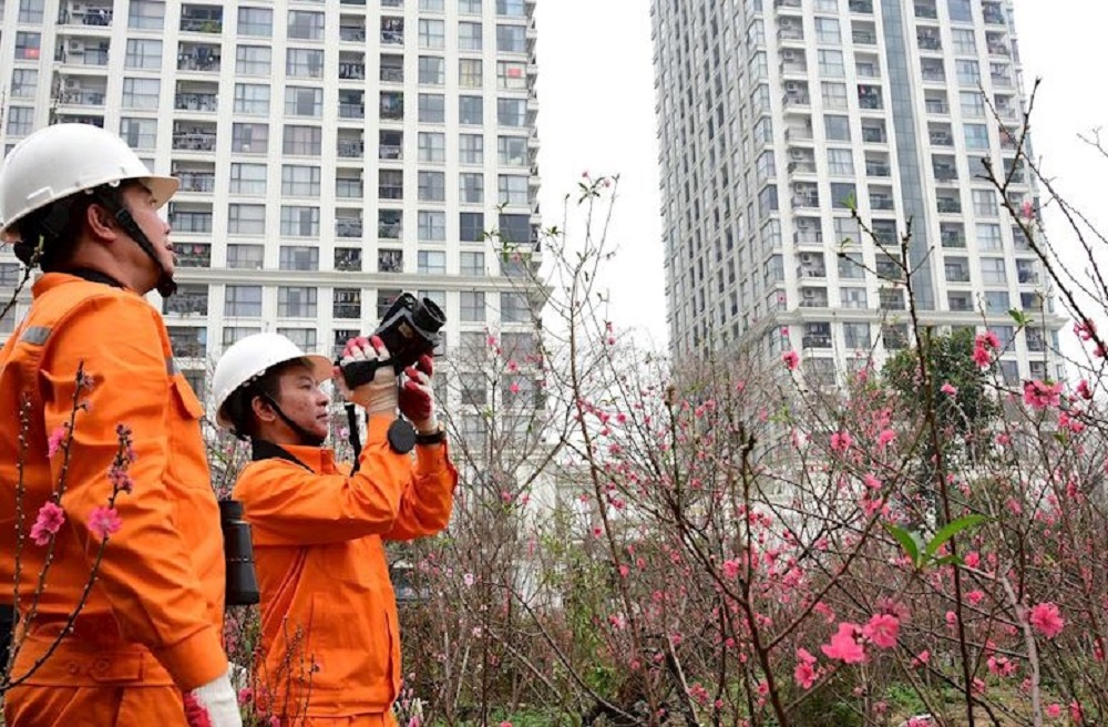 Cung ứng điện trong dịp Tết Bính Ngọ 2026 được đảm bảo an toàn, thông suốt.