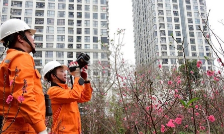 Cung ứng điện trong dịp Tết Bính Ngọ 2026 được đảm bảo an toàn, thông suốt.