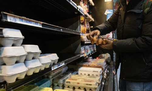 Giá trứng ở Mỹ giảm gần một nửa, người chăn nuôi lao đao