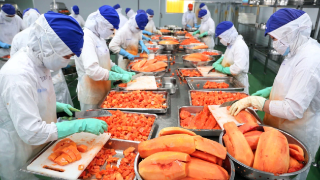 Fruit and vegetable sector sees 73% export growth in January