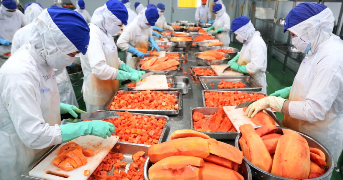 Fruit and vegetable sector sees 73% export growth in January