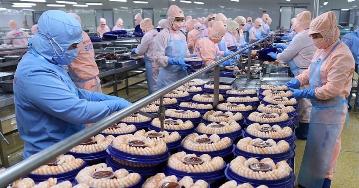 Vietnam’s shrimp sector faces rising competition despite lower US anti-dumping tariffs