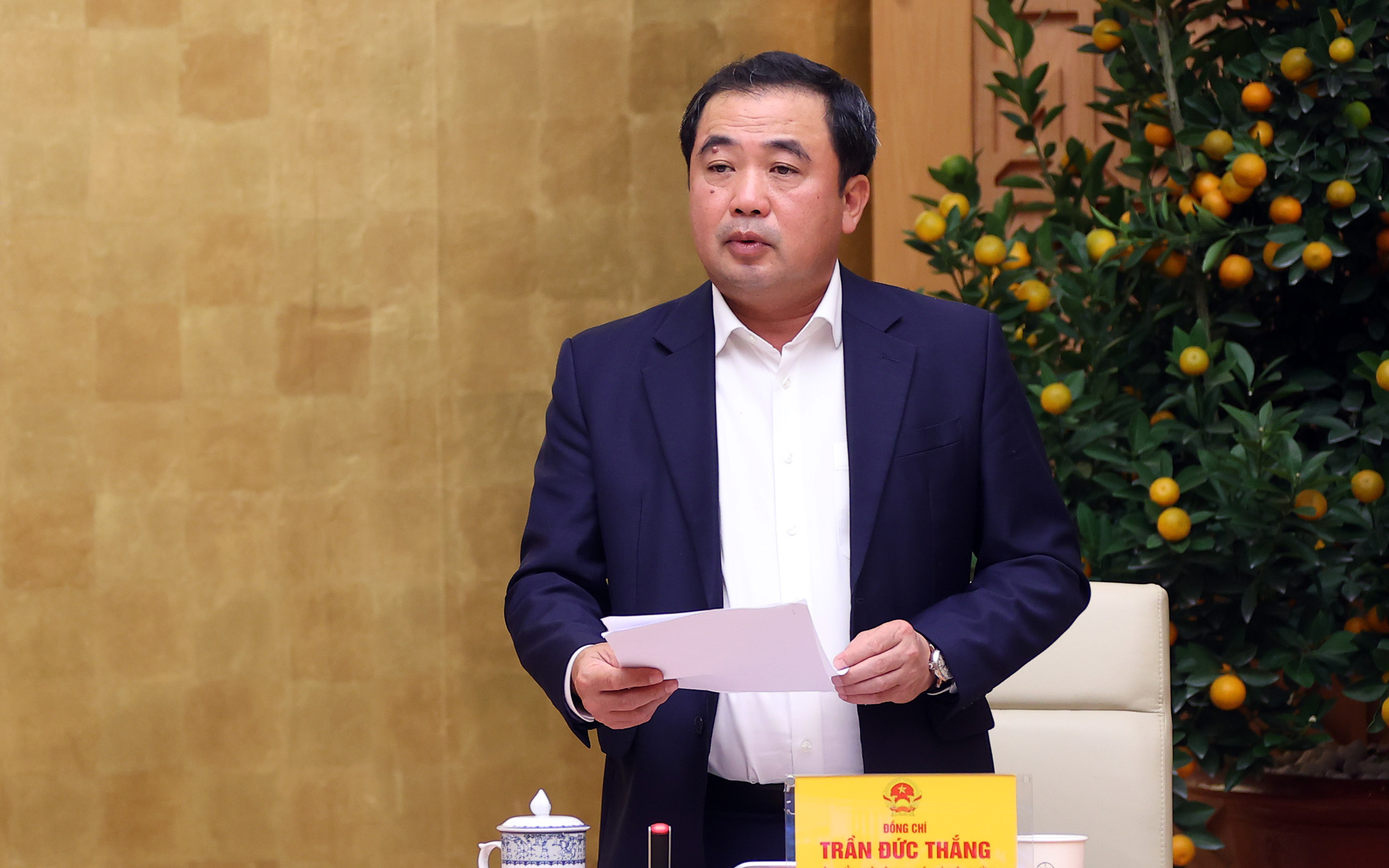 Bộ trưởng Trần Đức Thắng: "Trước khi đoàn EC vào làm việc, sẽ tiếp tục kiểm tra trọng điểm tại 15 địa phương". Ảnh VPG.